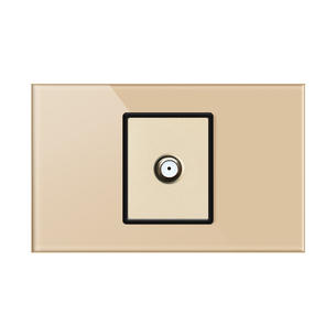 Tempered Glass Switch LY-BL-Satellite Socket-GOLD